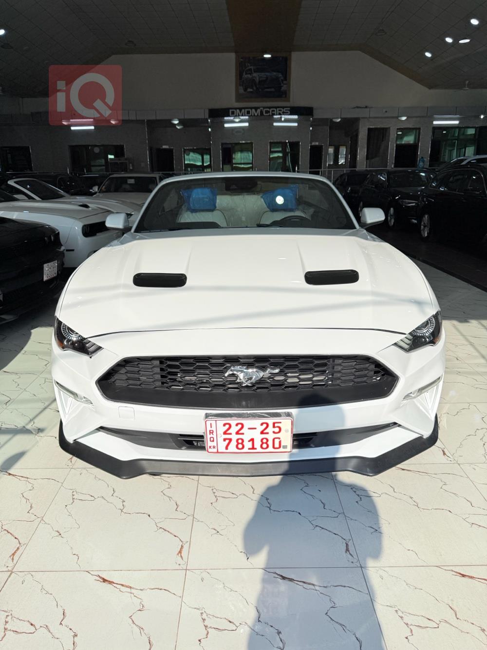 فۆرد مۆستانگ